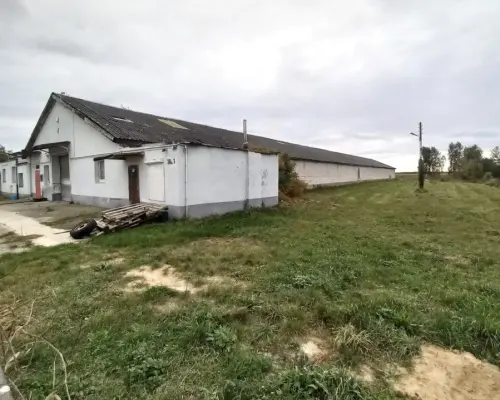Grunt rolny 1,4ha, hala Kłębanowice/Polkowice