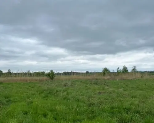 Działka budowlana 15ar, Szklary Dolne, Polkowice