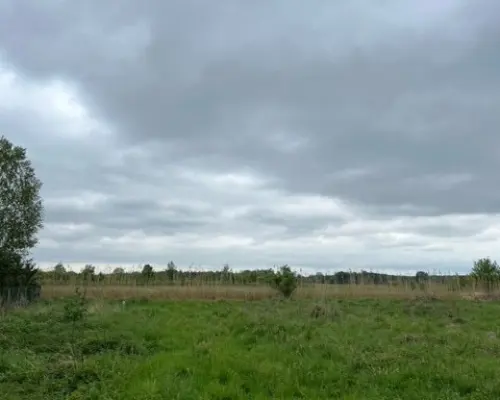Działka budowlana 15ar, Szklary Dolne, Polkowice