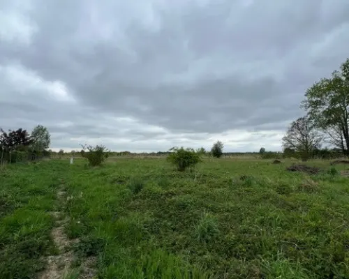 Działka budowlana 15ar, Szklary Dolne, Polkowice