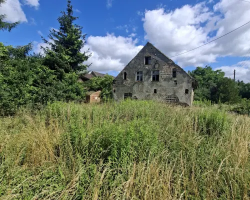 Przemków | Duża działka 2 641 m² z zabudową |