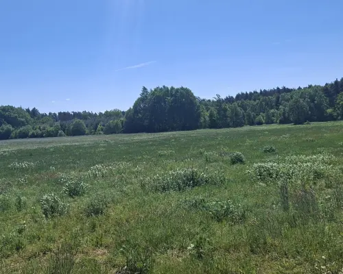 Działka 1,99ha | 84ar MPZP | Pogorzeliska