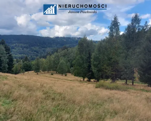 Działki inwestycyjno-budowlane Duszniki-Zdrój, SKI