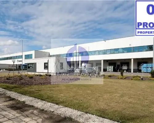 Targówek: lokal biurowy 500m2 do wynajęcia