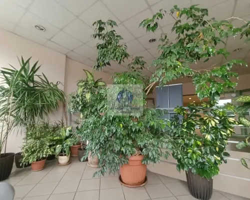 Praga Północ: lokal biurowy 51,43 m2 do wynajęcia