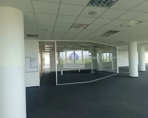 Wola: lokal biurowy 252,90 m2 do wynajęcia