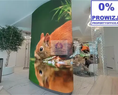 Śródmieście: lokal biurowy 33,70 m2 do wynajęcia