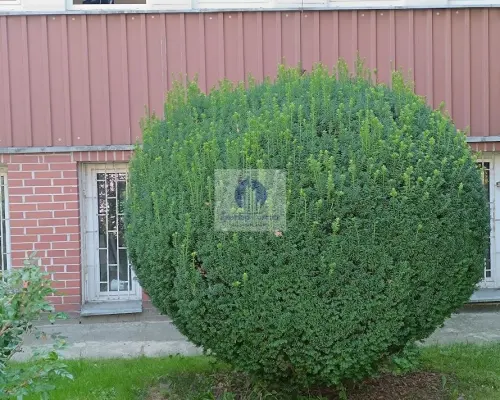 Mokotów: lokal biurowy na wynajem