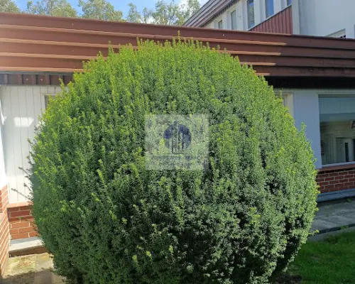 Mokotów: lokal biurowy 20m2 do wynajęcia
