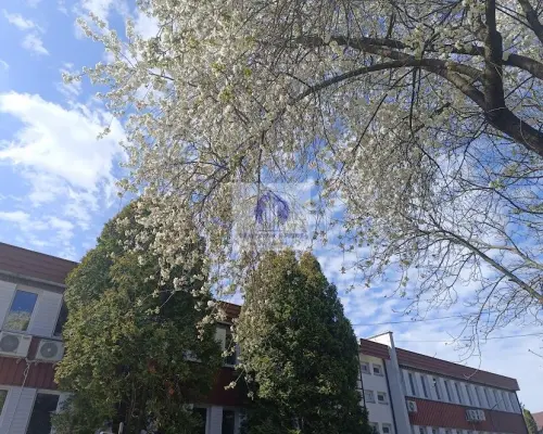 Mokotów: lokal biurowy 40m2 do wynajęcia