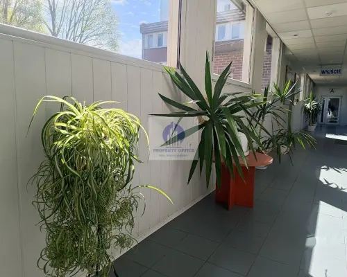 Mokotów: lokal biurowy 20m2 do wynajęcia