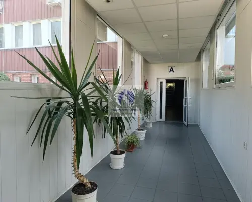 Mokotów: lokal biurowy 40m2 do wynajęcia