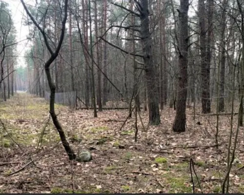 Sprzedam super działkę inwestycyjno-budowlaną .