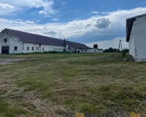 Ferma trzoda/drobiu