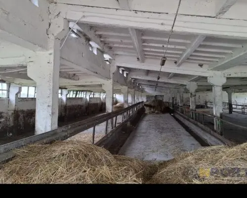 Sprzedam Gospodarstwo Rolne 32,6 ha
