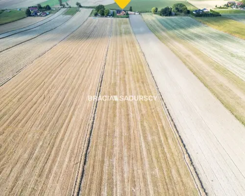 Dom na wsi, duża działka 30 km od Krakowa