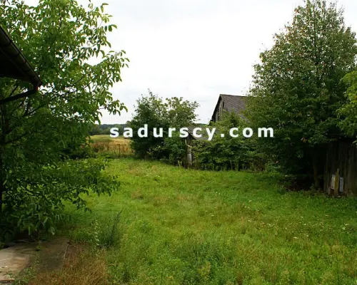 Działka 2100m2  z domem z dobudówką, razem 4 pokoje z kuchnią, łazienką, we wsi Niedźwiada Duża, ok. 15 km od Kazimierza Dolneg