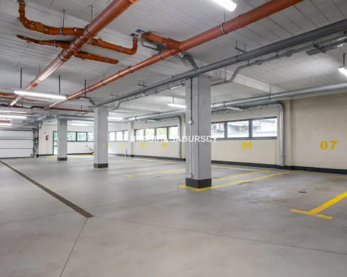 Lokal okolica Galerii krakowskiej - parter