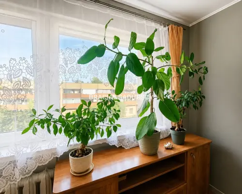 2 POKOJE, BALKON, PODGÓRZE