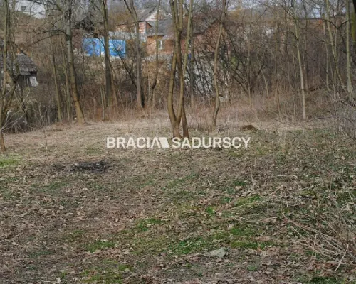 Do sprzedania działka budowlano- rolna ,częściowo zalesiona ,o pow ,48 arów ,/w tym 5 arów budowlane /w miejscowości Malkowice