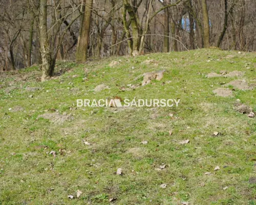 Do sprzedania działka budowlano- rolna ,częściowo zalesiona ,o pow ,48 arów ,/w tym 5 arów budowlane /w miejscowości Malkowice