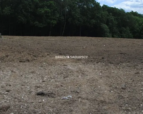 Działka budowlano-rolno-leśna w Jankówce