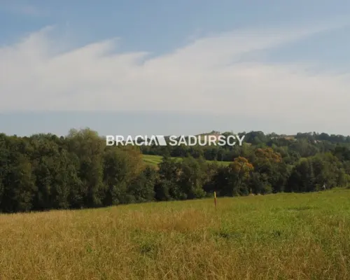 Okazja!!!Do sprzedania duża nieruchomość .