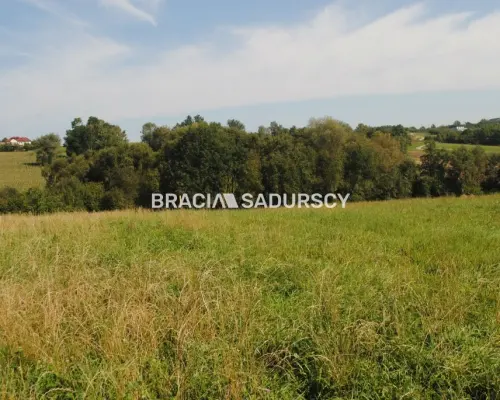 Okazja!!!Do sprzedania duża nieruchomość .