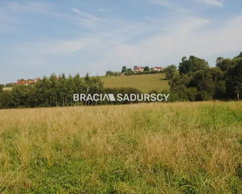 Okazja!!!Do sprzedania duża nieruchomość .