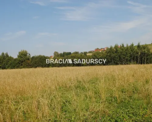 Okazja!!!Do sprzedania duża nieruchomość .
