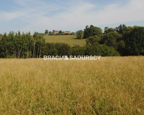 Okazja!!!Do sprzedania duża nieruchomość .