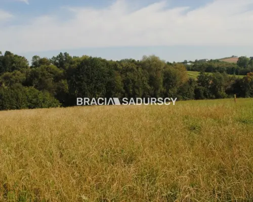 Okazja!!!Do sprzedania duża nieruchomość .