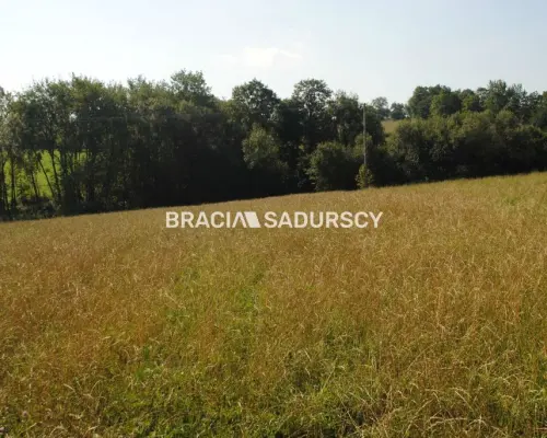 Okazja!!!Do sprzedania duża nieruchomość .
