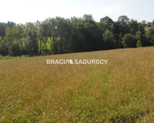 Okazja!!!Do sprzedania duża nieruchomość .