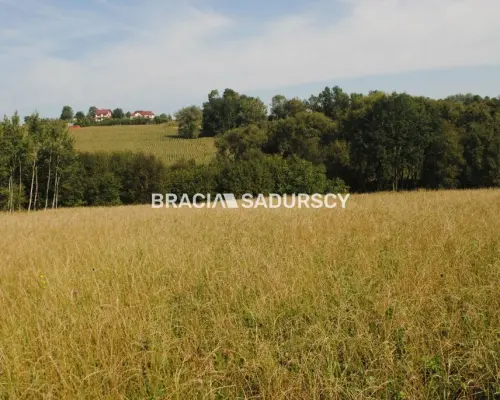 Okazja!!!Do sprzedania duża nieruchomość .