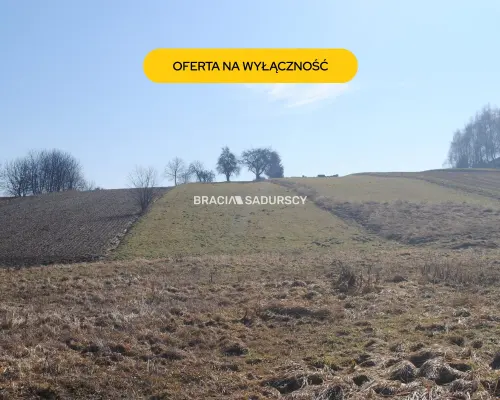 Duża działka budowlano-rolna w Bodzanowie