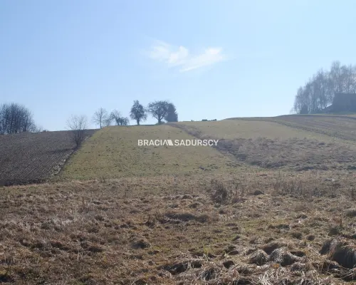 Duża działka budowlano-rolna w Bodzanowie