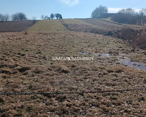 Duża działka budowlano-rolna w Bodzanowie