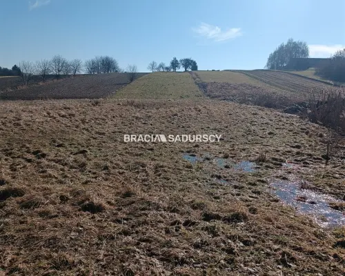 Duża działka budowlano-rolna w Bodzanowie