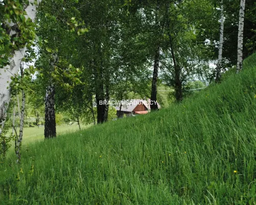 Gospodarstwo około 1,5 ha w Łazanach gm.Biskupice