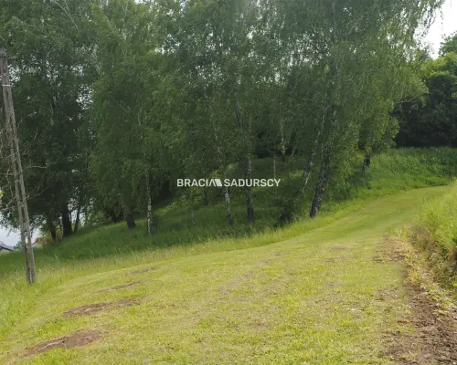Gospodarstwo około 1,5 ha w Łazanach gm.Biskupice
