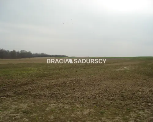 *Zdjęcia należą do właściciela oferty.    Działka inwestycyjna 100 arowa leżąca na terenie przemysłowym w Morawicy. Media: ka