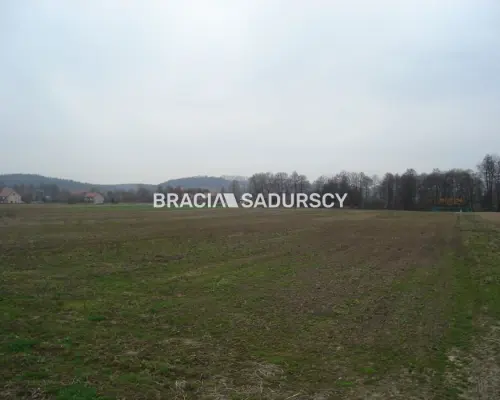 *Zdjęcia należą do właściciela oferty.    Działka inwestycyjna 100 arowa leżąca na terenie przemysłowym w Morawicy. Media: ka