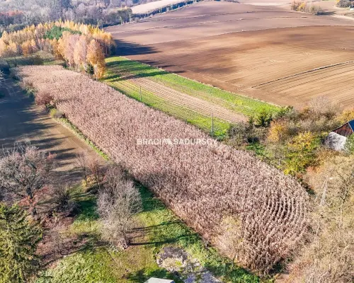 Działka budowlana / MPZP - MN3 / Przesławice