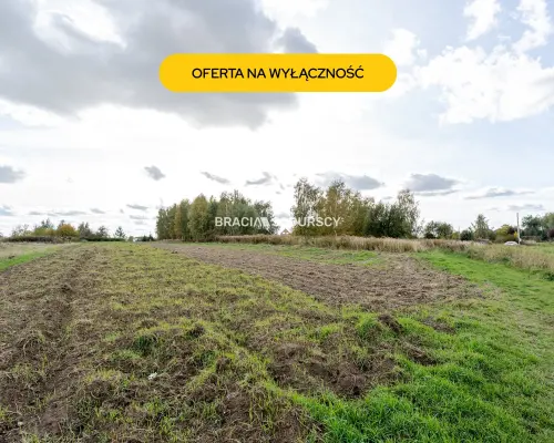 Działka budowlana / 25 ar / płaska / Cholerzyn