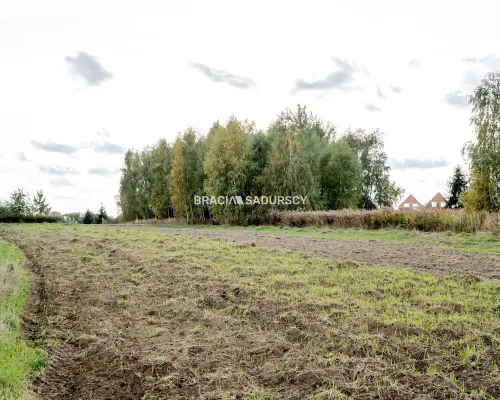 Działka budowlana / 25 ar / płaska / Cholerzyn