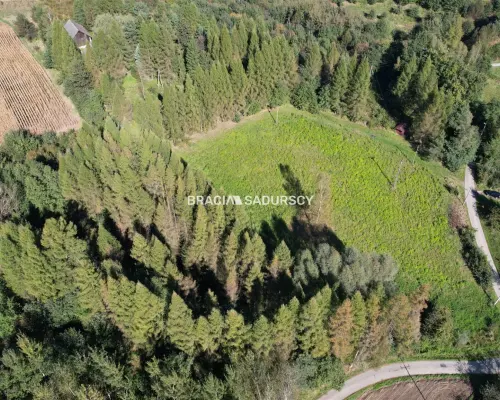 Działka budowlana 8900 m2 Poręba Żegoty