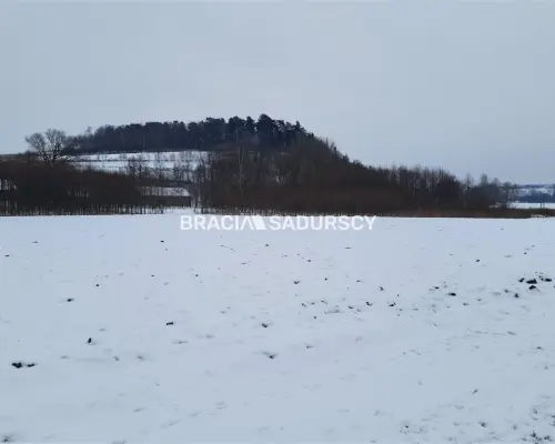 Działka budowlana Polekarcice