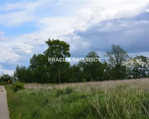 Działka budowlano-rolna o pow.: 1519 m2