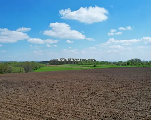 Działka Budowlana Młodziejowice w gm. Michałowice